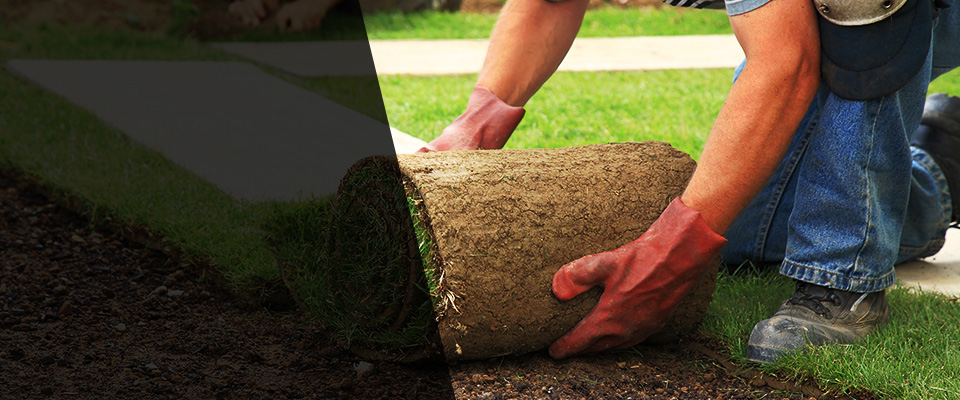 North Bend Landscapers